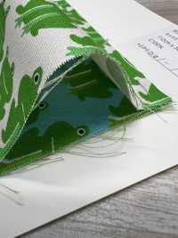 850577 オックス 未晒コットン ぴょこっとカエル[生地] VANCET サブ画像