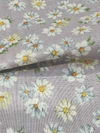 83070 SEVENBERRY®  スケア 未晒コットン Nostalgia Collection / Margarite[生地] VANCET サブ画像