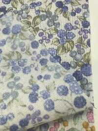 83069 SEVENBERRY®  スケア 未晒コットン Nostalgia Collection / Berry Garden[生地] VANCET サブ画像