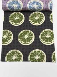 4249 SEVENBERRY®  ブロード Stylish Relax / Orange[生地] VANCET サブ画像