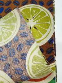 4249 SEVENBERRY®  ブロード Stylish Relax / Orange[生地] VANCET サブ画像