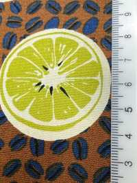 4249 SEVENBERRY®  ブロード Stylish Relax / Orange[生地] VANCET サブ画像