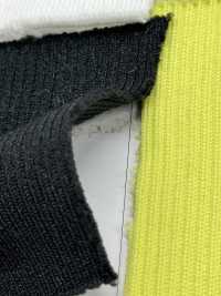 RS225 リブ ラスルヤーン 2本ゴム 1本2×1  60cm巾 竹中商事 サブ画像