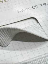 HW-9700 スダレゴム ノンネーム サブ画像