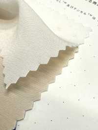 1830 ポリ・テンセル™ モダール繊維ブロード[生地] 桑村繊維 サブ画像