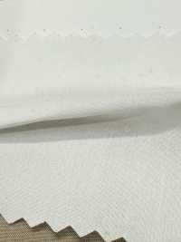 SBT-003 オーガニックECO無地[生地] 桑村繊維 サブ画像