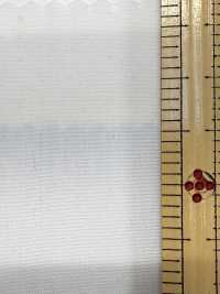 2190 80/2ハケメ玉虫・シャンブレー[生地] 桑村繊維 サブ画像