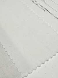 2030 40/1綿麻 ダンプ[生地] 桑村繊維 サブ画像