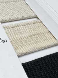 NO5502-24 ベルトテープ ライン入り耳付きとじ織[リボン・テープ・コード] RIVER サブ画像