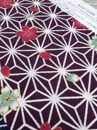 KKP2338-D-ASANOHA 二越ちりめん® 宝づくし[生地] 宇仁繊維(小紋工房) サブ画像