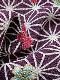 KKP2338-D-ASANOHA 二越ちりめん® 宝づくし[生地] 宇仁繊維(小紋工房) サブ画像