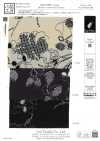 KKP3338-D64 二越ちりめん®
