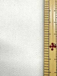 INDIA-2154 INDIA DUCK[生地] 有延商店 サブ画像