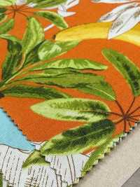 4257 ブロード Stylish Relax BANANA&LEAVES[生地] VANCET サブ画像