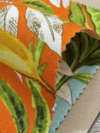 4257 ブロード Stylish Relax BANANA&LEAVES[生地] VANCET サブ画像