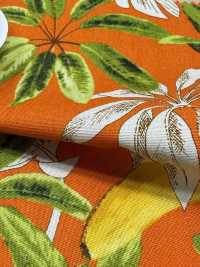 4257 ブロード Stylish Relax BANANA&LEAVES[生地] VANCET サブ画像