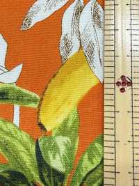 4257 ブロード Stylish Relax BANANA&LEAVES[生地] VANCET サブ画像