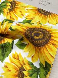 850541 ブロード Himawari Oil painting touch[生地] VANCET サブ画像
