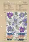 850558 リネンライク スラヴ サロンドフルール Clematis