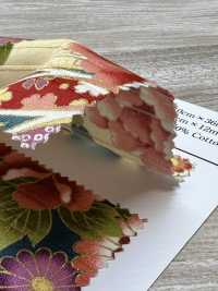 AP62902 色彩文様 ゴールドプリント サテン (丸巻)[生地] コスモテキスタイル サブ画像