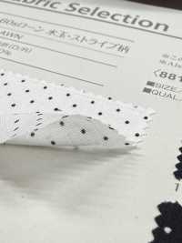 B88191Z 60sローン 水玉・ストライプ柄 半折[生地] VANCET サブ画像