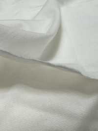 1078420-OUTLET ALBINI SEA ISLAND COTTON 天竺[生地] 瀧定名古屋 サブ画像
