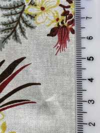 4242 ブロード Stylish Relax TROPICAL SEA[生地] VANCET サブ画像