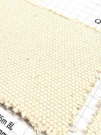 FKB01 富士金梅 綿1号帆布 キバタ[生地] 富士金梅 サブ画像