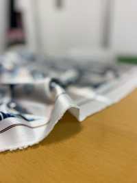 TPS3001 葛飾北斎 プリント裏地 リピート柄 サブ画像