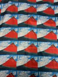 TPS3002 葛飾北斎 プリント裏地 リピート柄 サブ画像