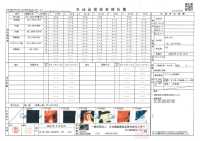 TPT1001 石見神楽 プリント裏地 リピート柄 サブ画像